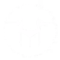 slim abdomen icon