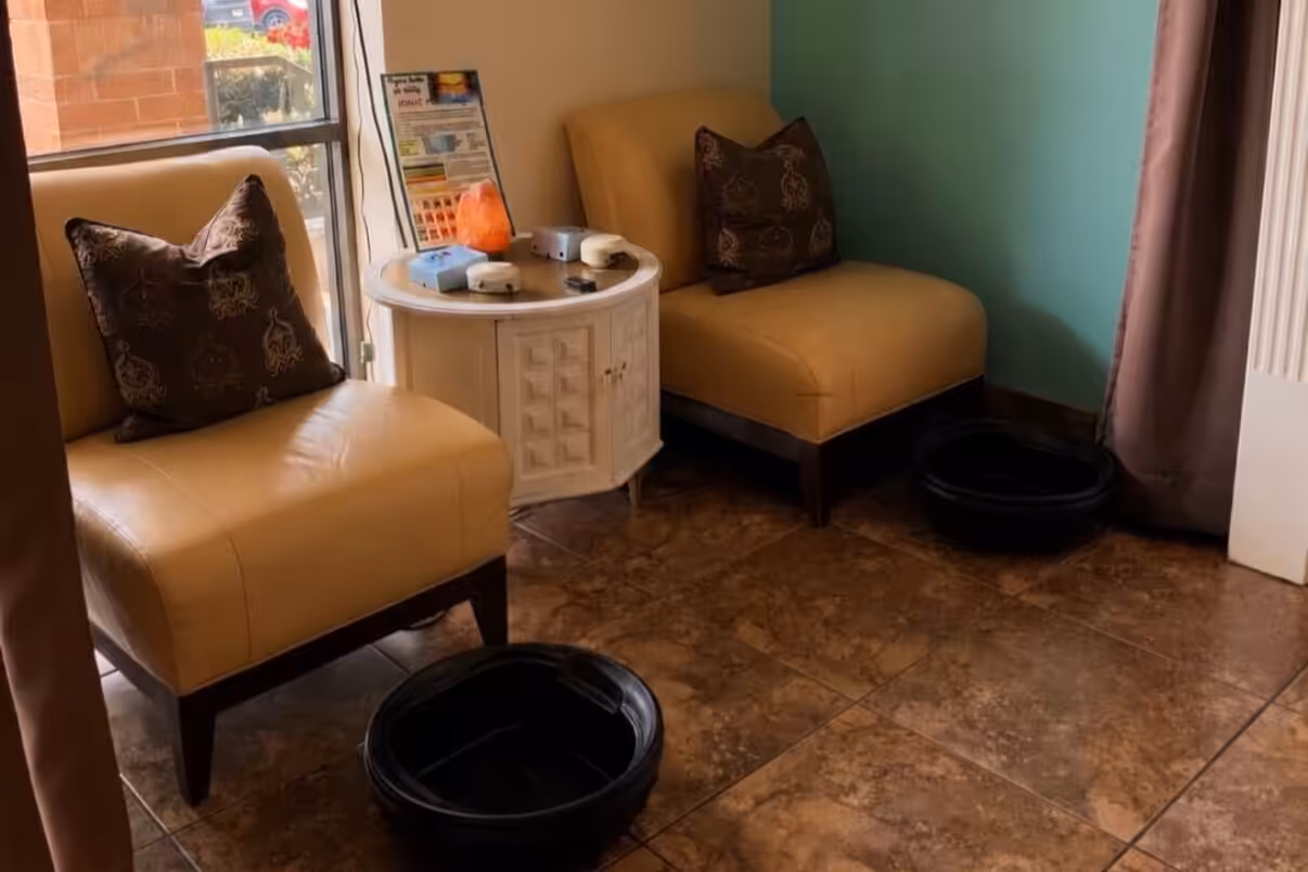 Wellness Foot Detox