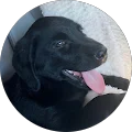 Emersyn Burdick Avatar